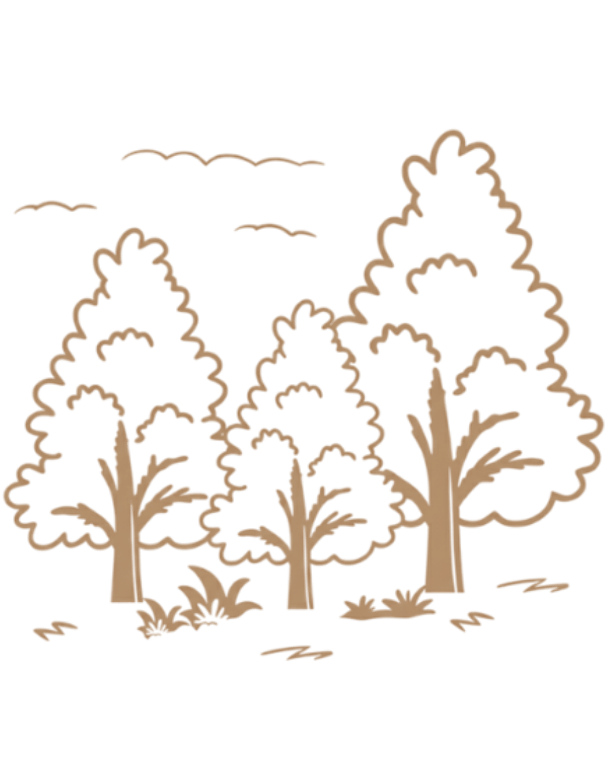 Girvan Forest Resort background image