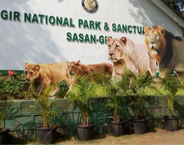 Gir National Park