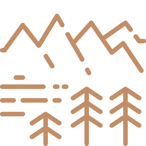 National park tree and mountain icon